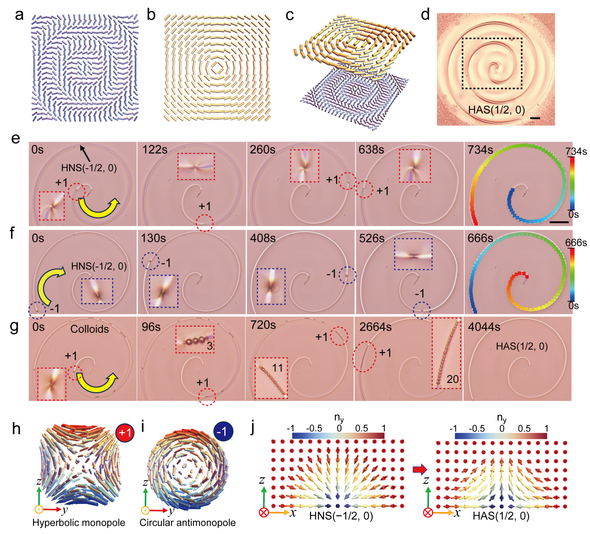 中国科大利用拓扑单极子实现光驱动液晶斯格明子拓扑转换