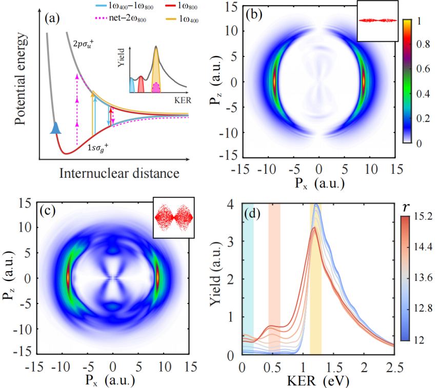 北京大学物理学院刘运全课题组在量子光驱动氢气分子解离的研究中取得新进展