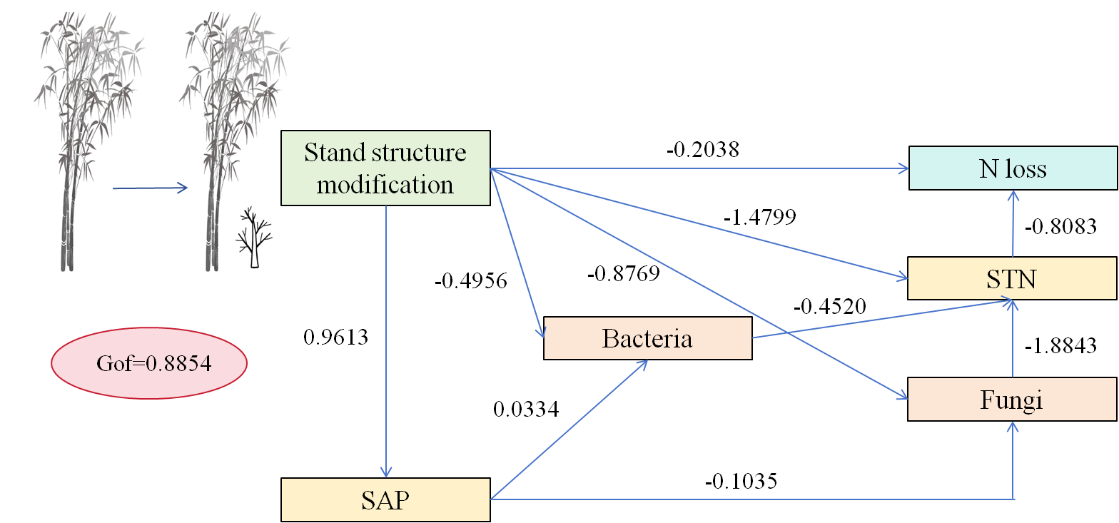 亚林所研究团队破译森林涵养水源净化水质作用“密码”
