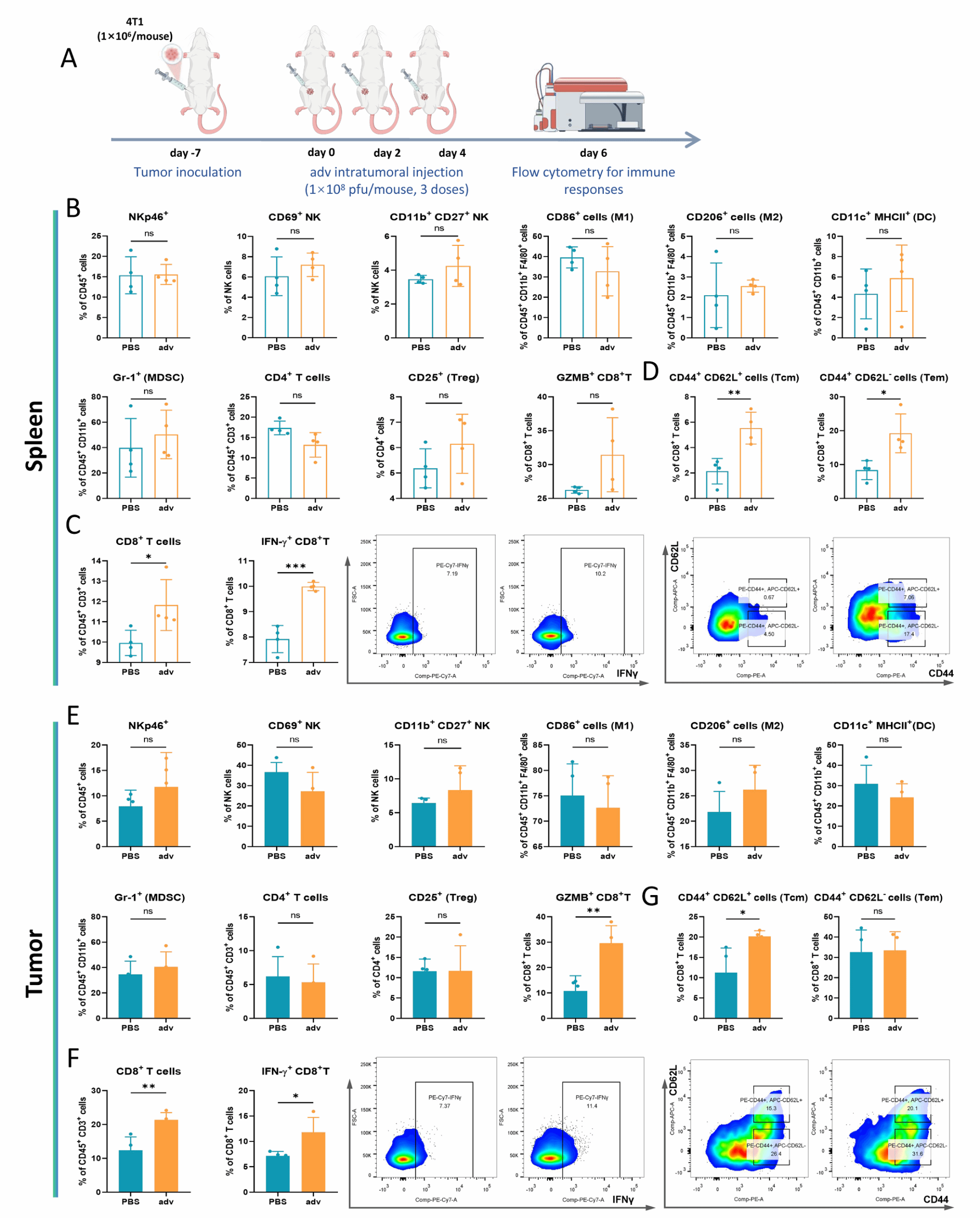 南京大学吴俊华/江春平团队揭示溶瘤病毒始于术中的原位延续性激活抗肿瘤免疫用于控制肿瘤术后复发