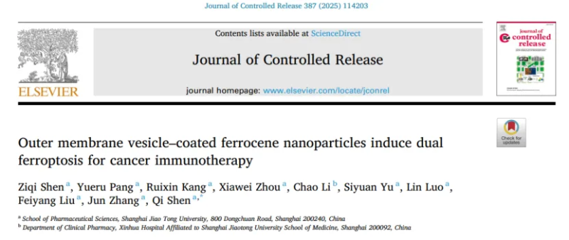 上海交大沈琦课题组发文:仿生二茂铁纳米粒诱导双重铁死亡增强免疫治疗