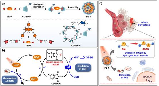 北京师范大学化学学院教授杨清正课题组在JACS发表重要研究成果:氢原子转移介导GSH氧化的I-型超分子光敏剂