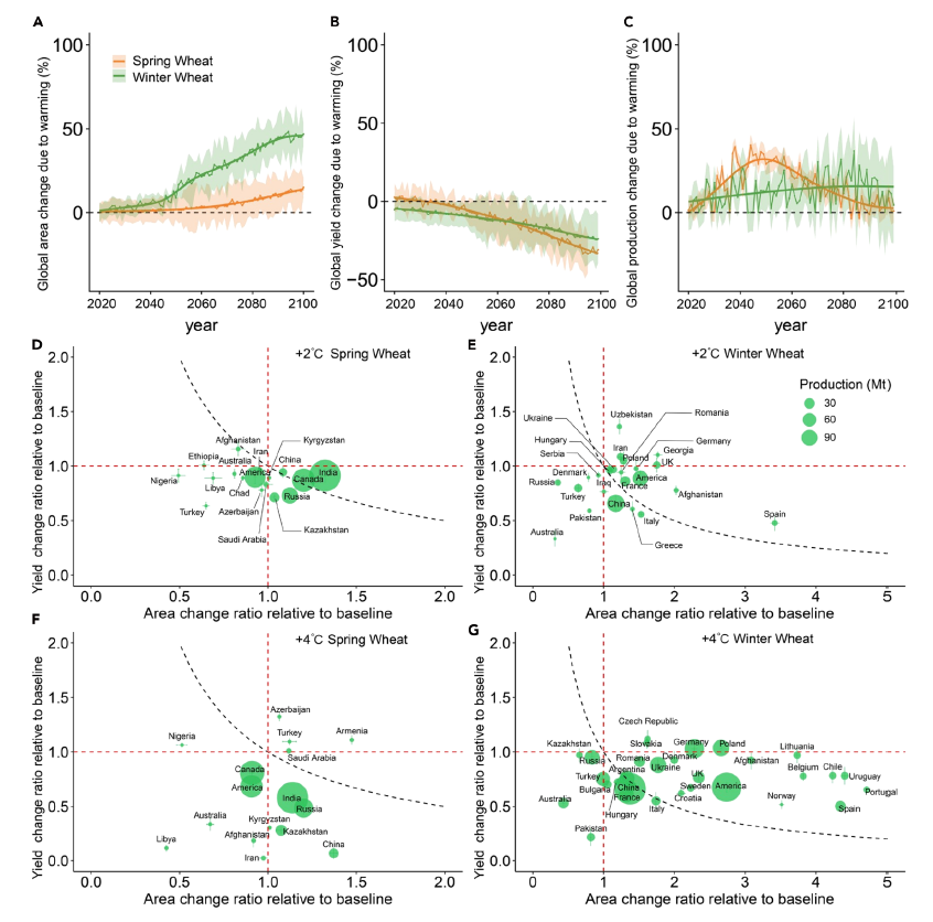 中国农业大学资环学院赵闯、杨晓光教授团队揭示气候变暖下全球小麦种植区扩张潜力足以抵消单产损失
