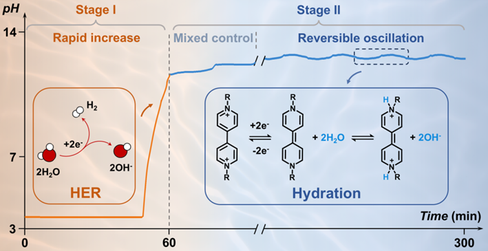 西安交大宋江选团队在大规模储能水系有机液流电池领域取得重要进展