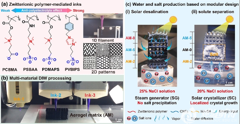中国海洋大学在太阳能耦合浓盐水淡化与资源化领域取得新进展