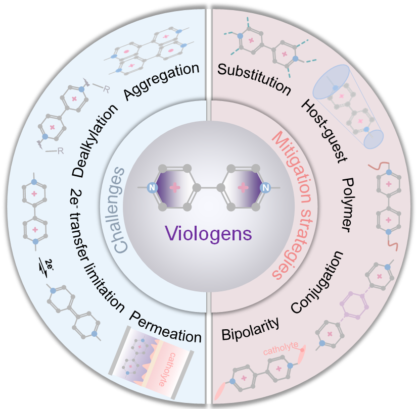 西安交大宋江选团队在大规模储能水系有机液流电池领域取得重要进展