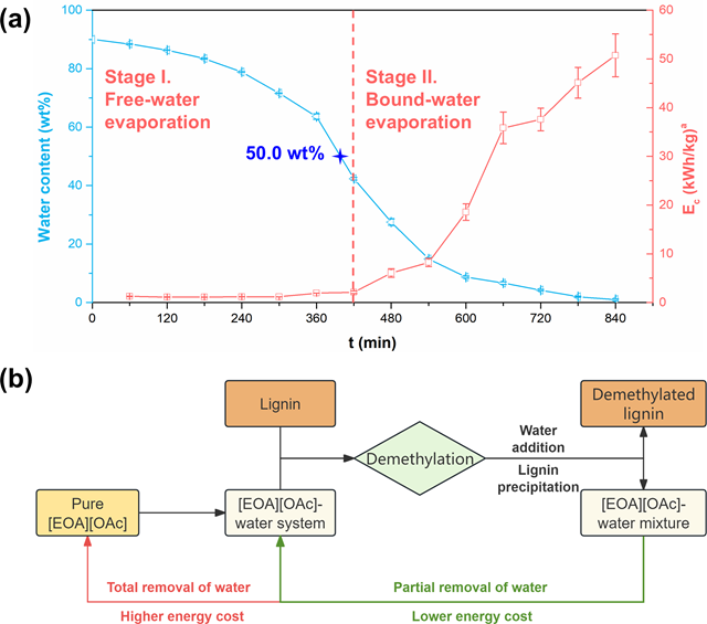 北理工团队在木质素脱甲基制备多酚方面取得新进展
