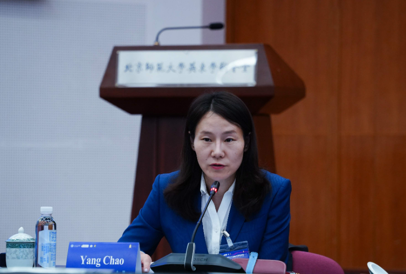 北京师范大学中巴法律与人工智能学术研讨会在北京师范大学举行