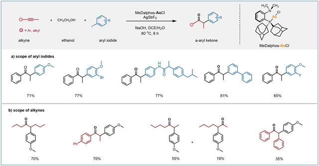 北理工团队在金催化炔烃1,2-双官能化领域取得重要进展