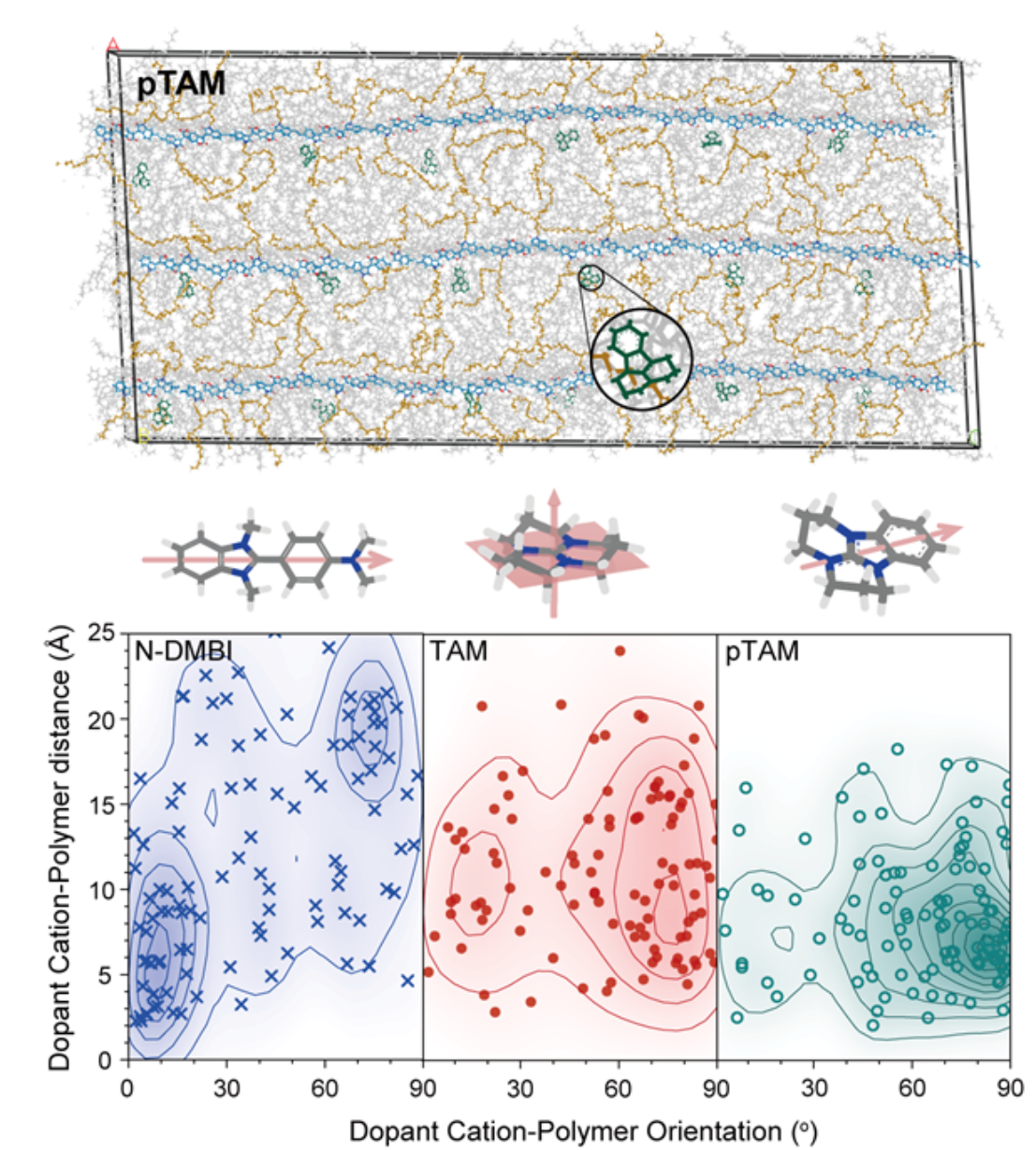 北京大学化学与分子工程学院裴坚团队在共轭高分子掺杂工程取得新进展