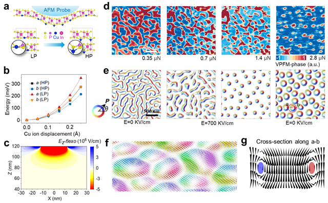 北理工团队通过力学方法在范德华铁电单晶中成功构造极化拓扑畴