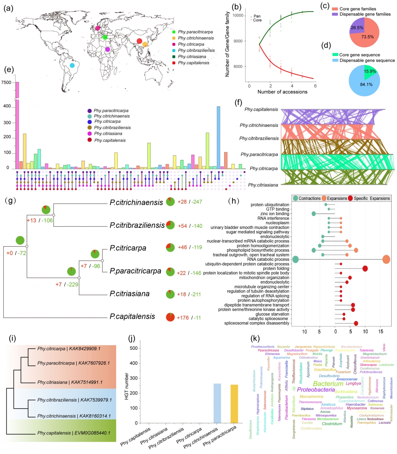 电子科技大学生命学院刘建魁、张勇教授团队在Fungal Diversity期刊发表研究成果