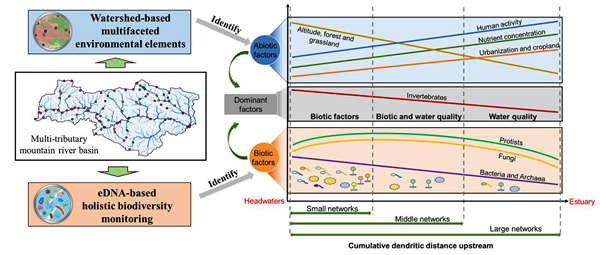 西北农林科技大学(746)资源环境学院李明教授团队在汉江上游水生态系统健康与环境过程领域研究取得阶段性进展