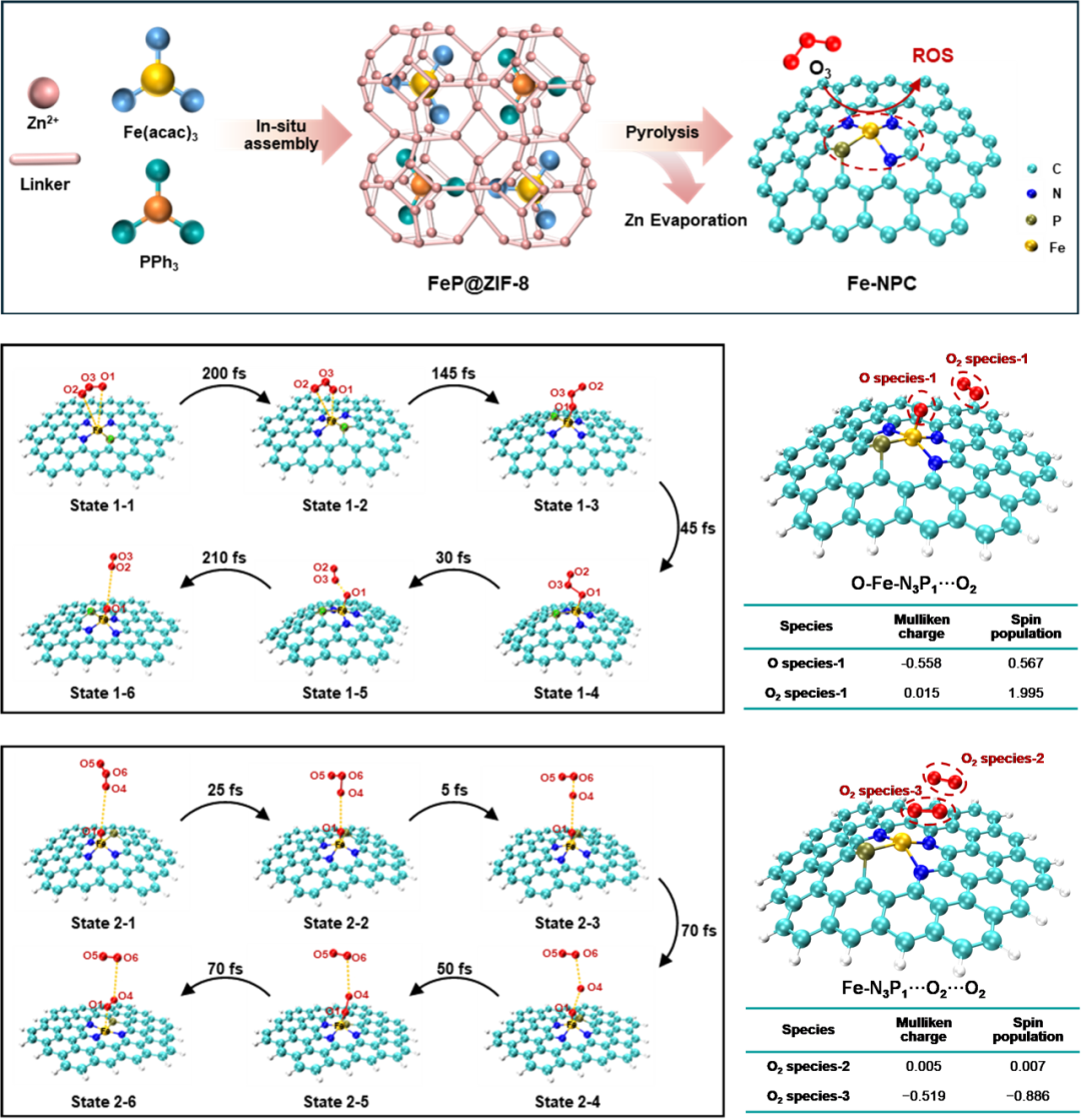 清华大学生物医学交叉研究院何新建实验室发现植物中介导组蛋白H3K4me3去甲基化的复合体