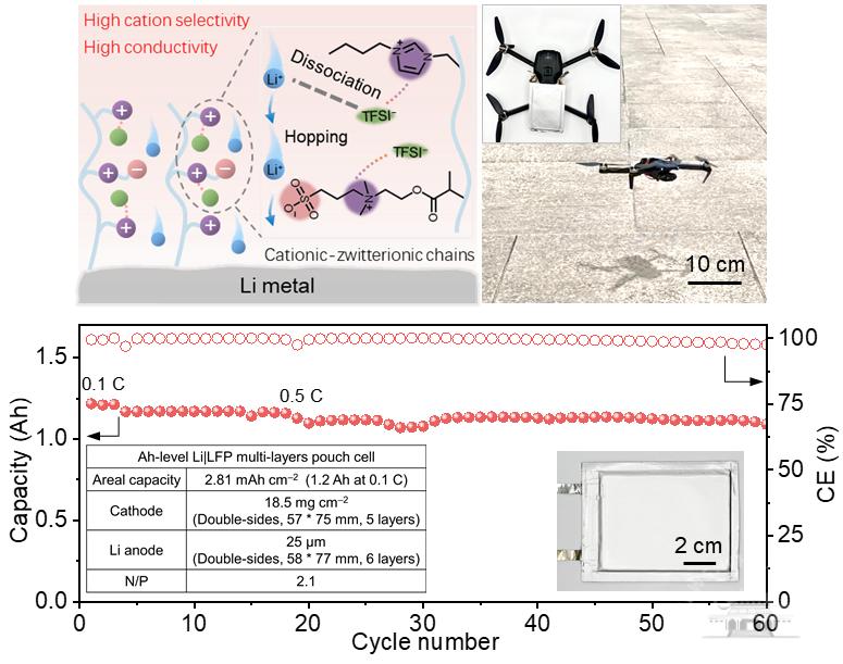 武汉大学杨培华课题组在聚合物固态电池领域取得新进展