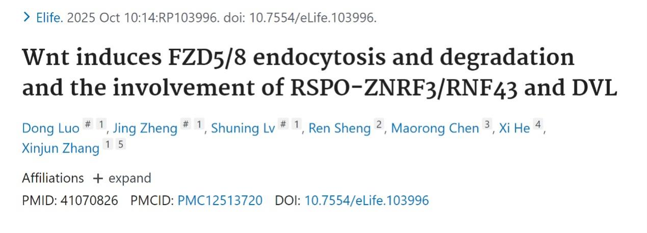 电子科技大学医学院张新军教授团队在《eLife》发表重要成果