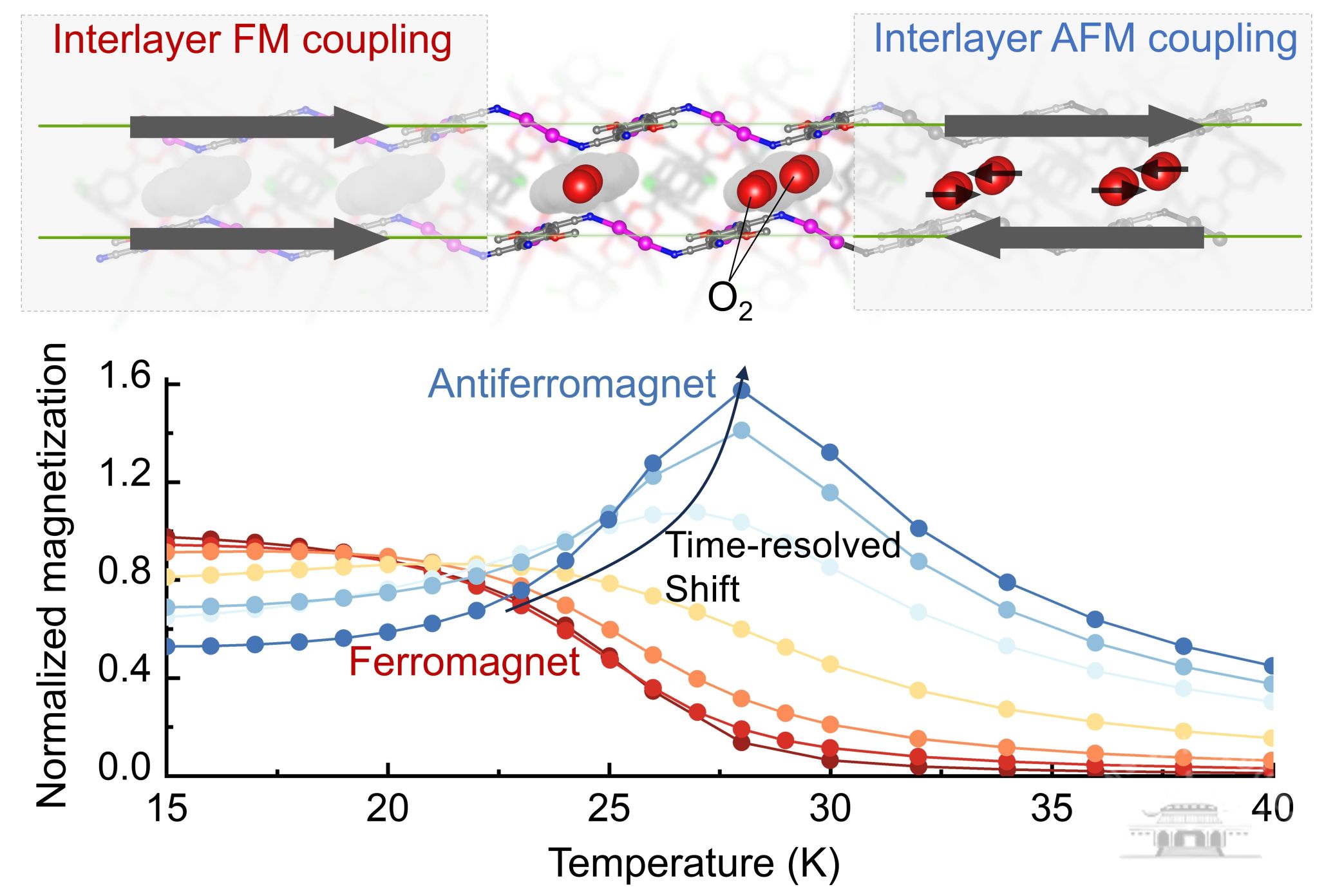 武汉大学张俊教授团队在多孔磁体的动力学研究领域取得新进展