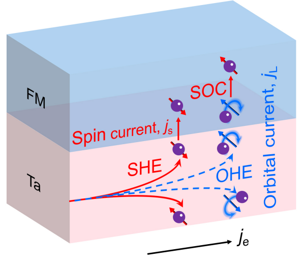 轨道霍尔效应研究取得进展