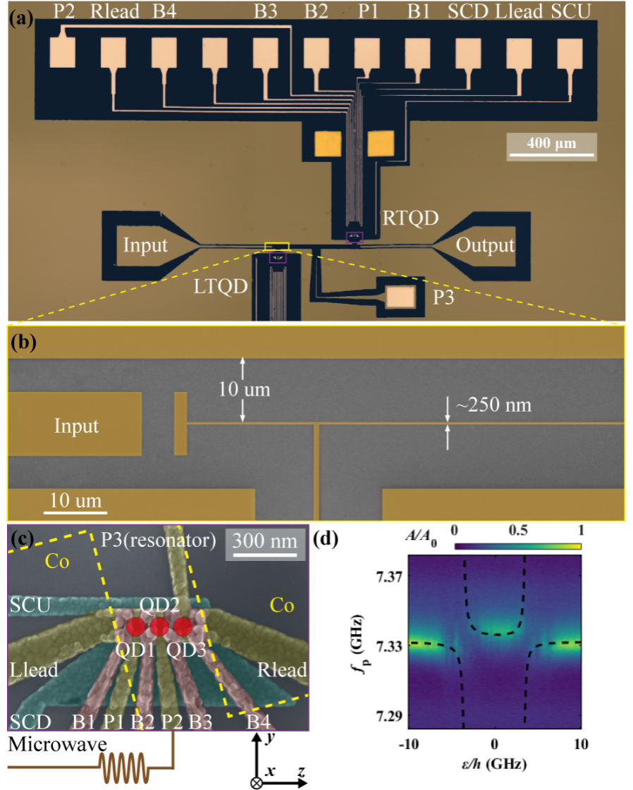 中国科大在硅基材料中成功实现共振交换量子比特与微波光子的强耦合