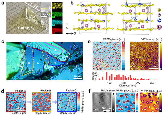北理工团队通过力学方法在范德华铁电单晶中成功构造极化拓扑畴