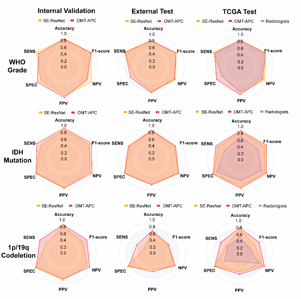 南京大学首次用数学理论攻克脑影像科学重大难题:南京大学张冰教授和数学家丘成桐院士合作成果发布