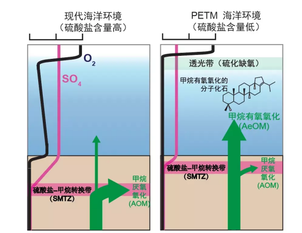 科学家揭示北极海洋如何在5600万年前加剧全球变暖