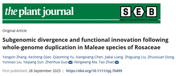 西北农林科技大学(753)园艺学院赵涛/马锋旺课题组揭示苹果族植物亚基因组分化与重复基因功能创新