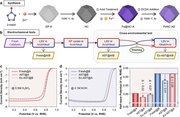研究揭示铁氮碳电催化剂酸碱差异性降解行为与机理