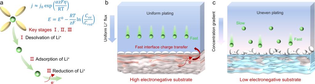 西安交大郗凯团队在锂金属电池领域取得重要进展