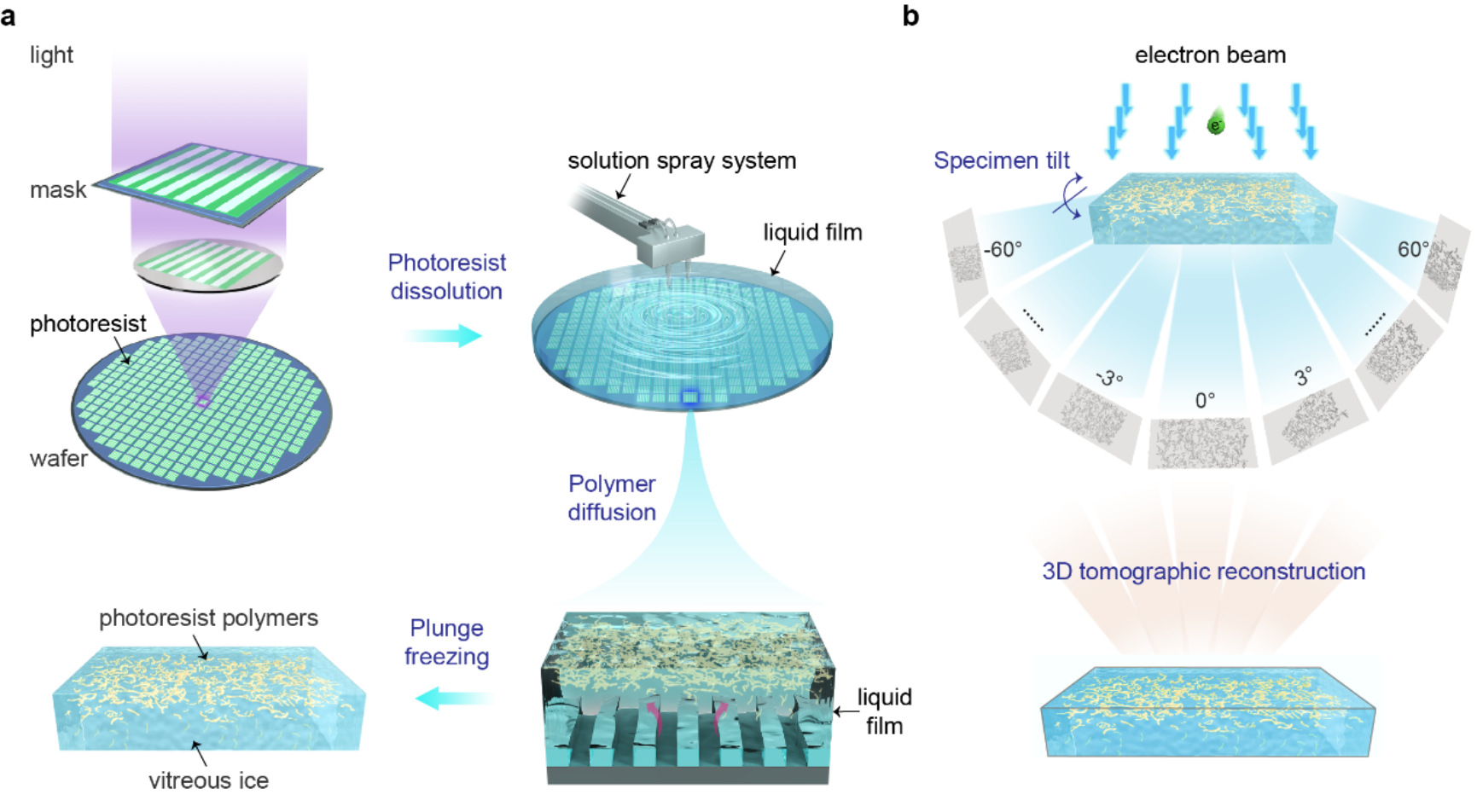 北京大学化学与分子工程学院彭海琳团队原位解析光刻胶微观行为并实现晶圆厂兼容的高分辨光刻