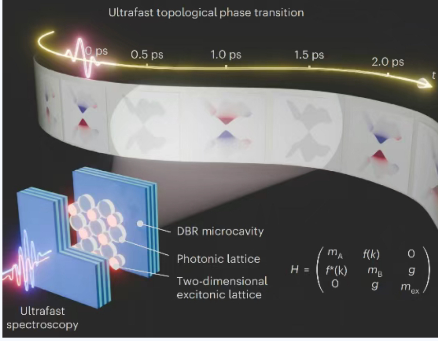北京大学物理学院刘文静、高宇南课题组与合作者实现亚皮秒激子极化激元拓扑相变
