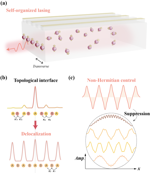 自组织拓扑激光器研发取得进展