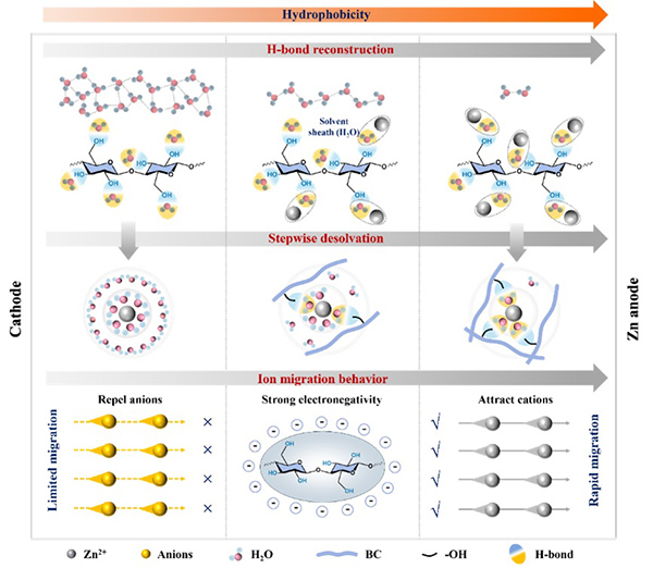 中国海洋大学在可充电海水电池领域取得新进展