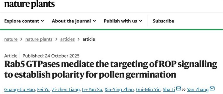 南开团队在植物生殖生物学领域取得重要突破
