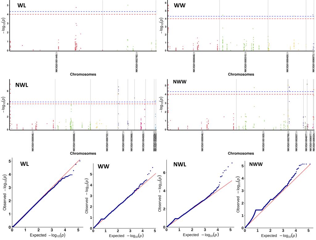 速生树木所在黄花风铃木品种分类研究方面取得新进展