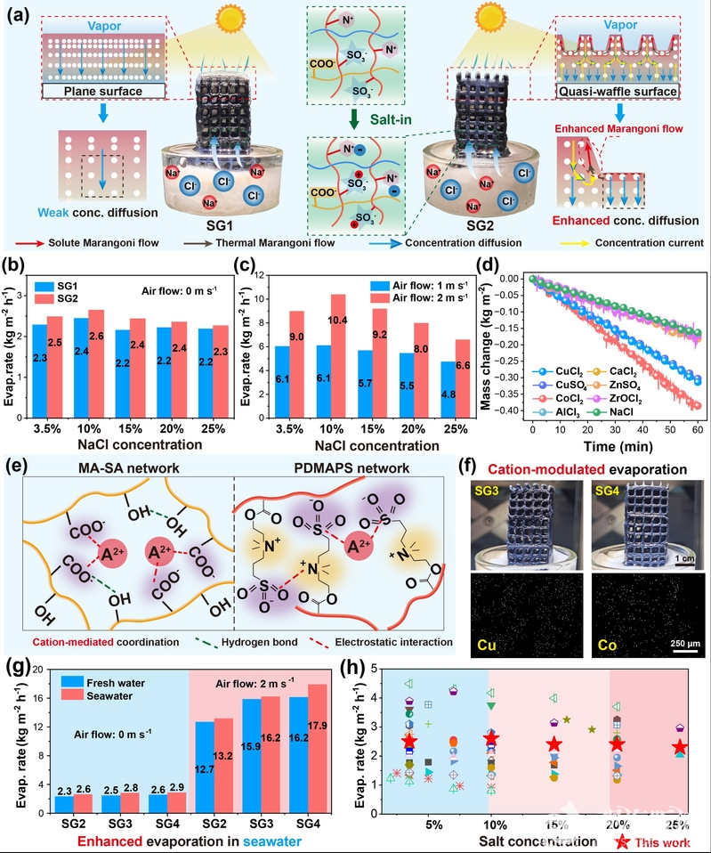 中国海洋大学在太阳能耦合浓盐水淡化与资源化领域取得新进展