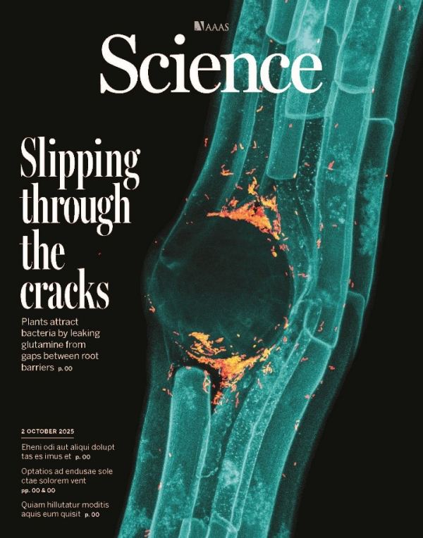 科学家绘制根系微生物“定居地图”