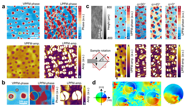 北理工团队通过力学方法在范德华铁电单晶中成功构造极化拓扑畴