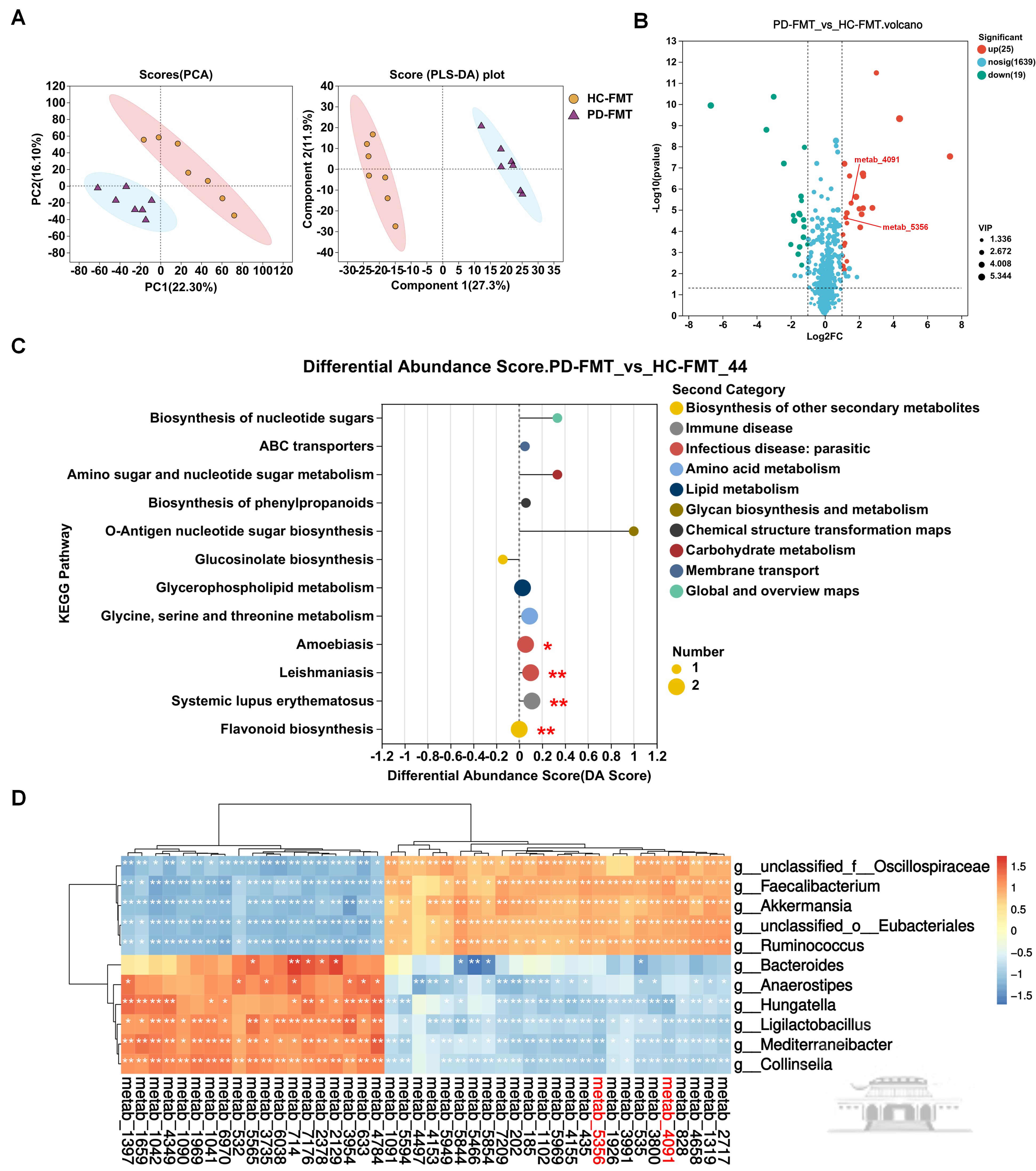 武汉大学刘燕群课题组在产前抑郁与肠道菌群研究领域取得突破