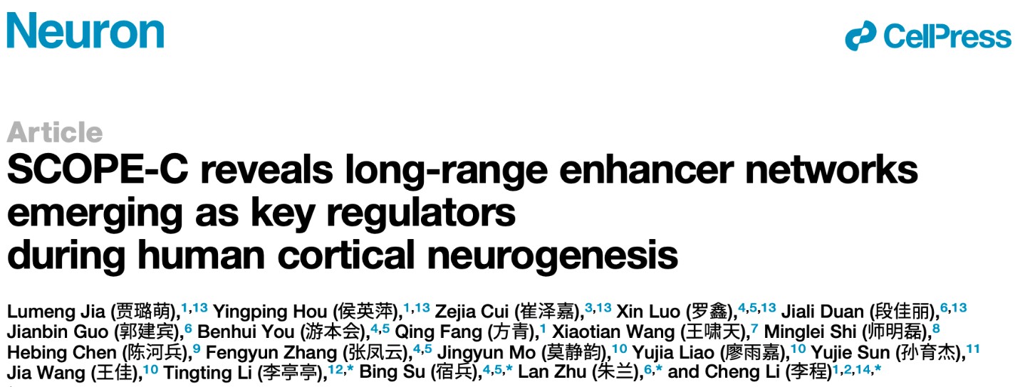 北京大学生命科学学院李程研究组与合作者发表开放染色质互作新技术并鉴定人类胎脑的独特基因空间调控模式