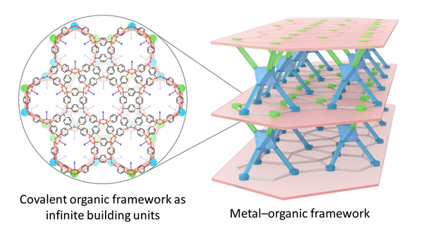 西北农林科技大学(734)化药学院刘波副教授在《Nature Chemistry》发表网格化学合成方面论文
