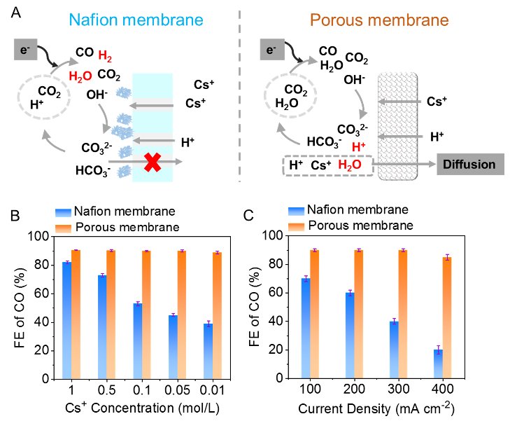 南开团队在酸性零间隙二氧化碳电解槽领域取得重要进展