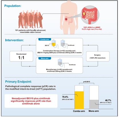 中山大学徐瑞华教授团队创新双免疗法改变结肠癌治疗策略