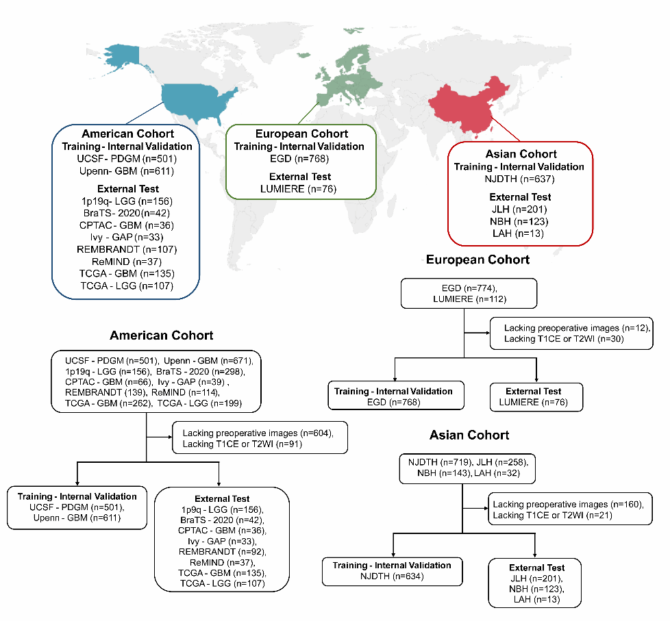 南京大学首次用数学理论攻克脑影像科学重大难题:南京大学张冰教授和数学家丘成桐院士合作成果发布