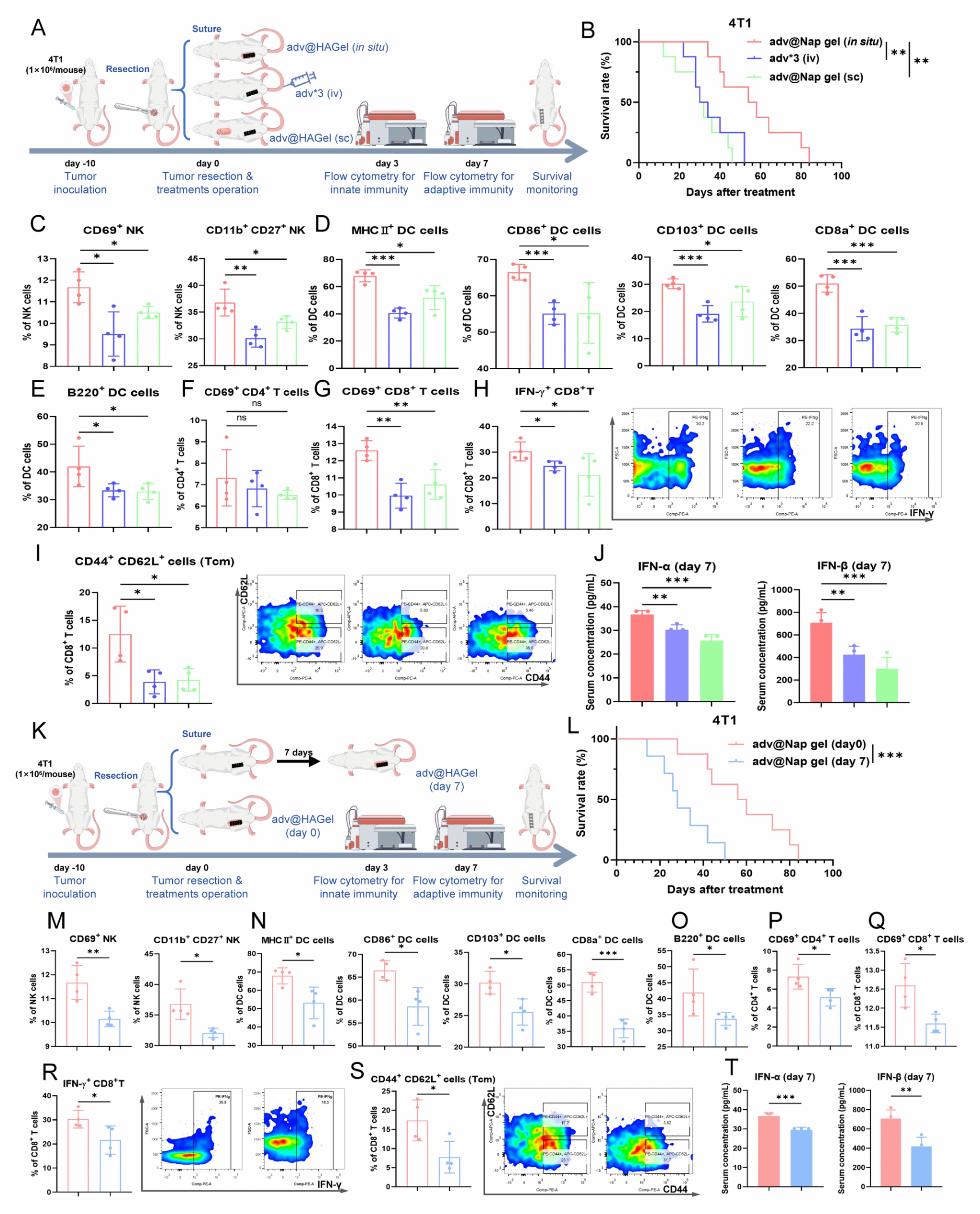 南京大学吴俊华/江春平团队揭示溶瘤病毒始于术中的原位延续性激活抗肿瘤免疫用于控制肿瘤术后复发