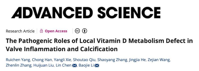 上海交大李保界课题组与合作者揭示局部维生素D代谢缺陷是瓣膜钙化的“隐形杀手”