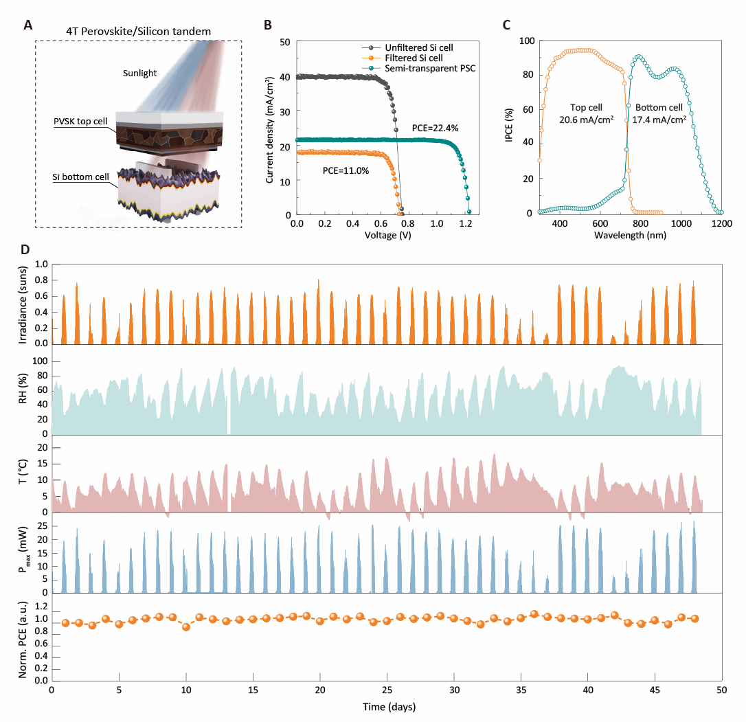 南京大学朱鹏臣/朱嘉团队及其合作者 | 增强晶格相互作用实现应变均质化以构筑高效稳定的四端钙钛矿/硅太阳电池