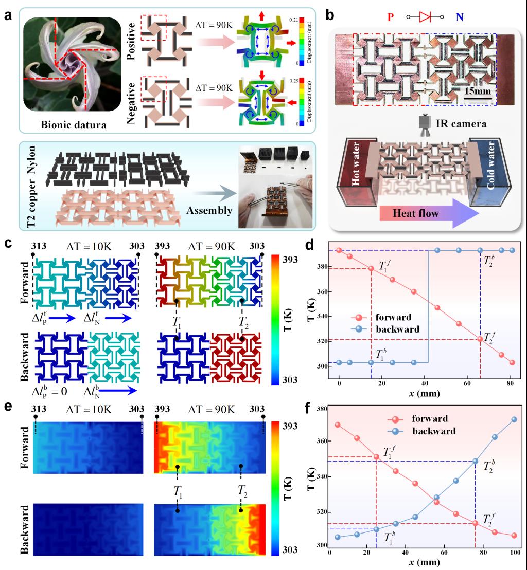 西安交大洪军、李宝童教授团队在“热路由网”领域取得新进展