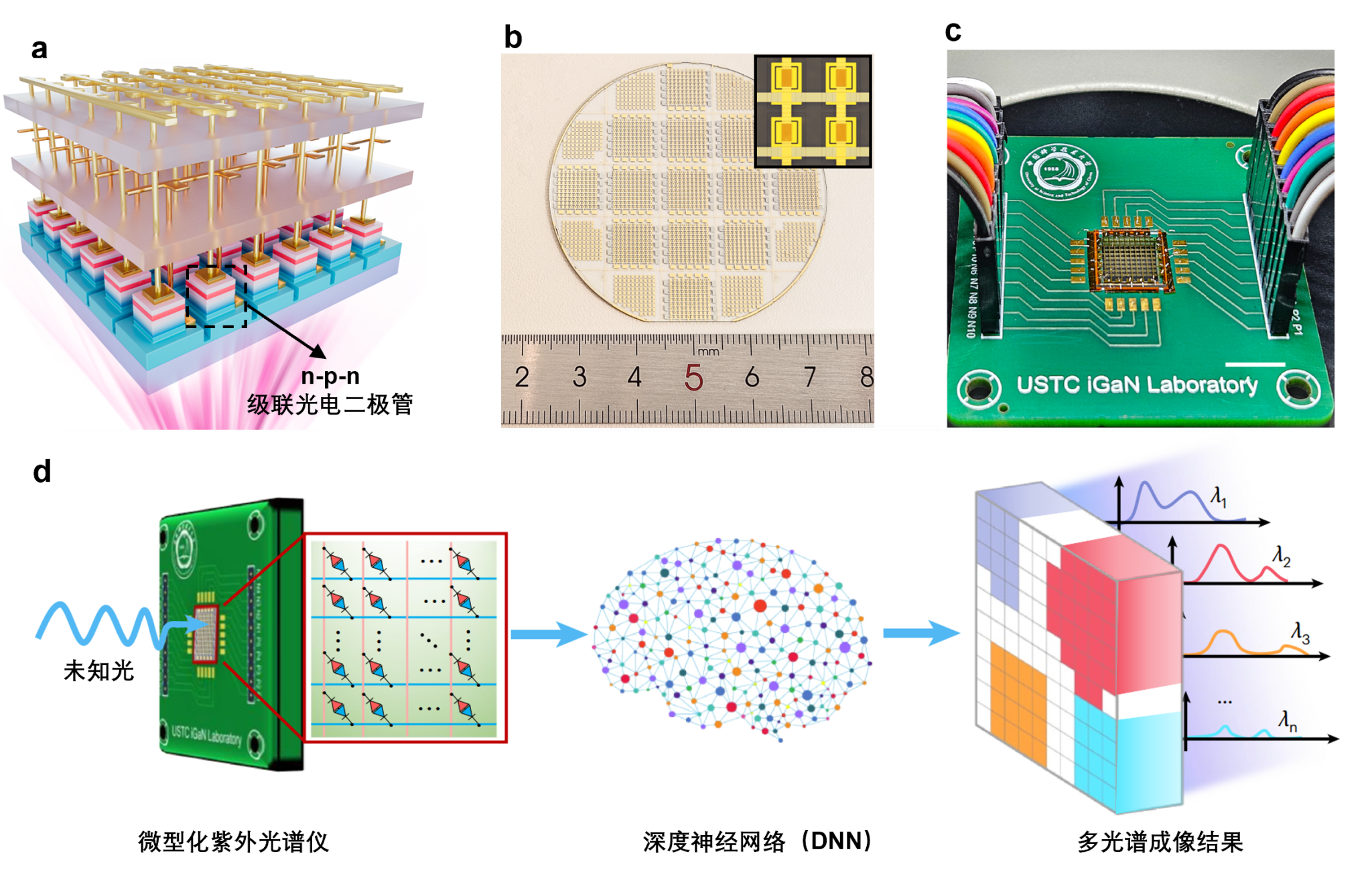 中国科大研制成功微型化紫外光谱仪芯片