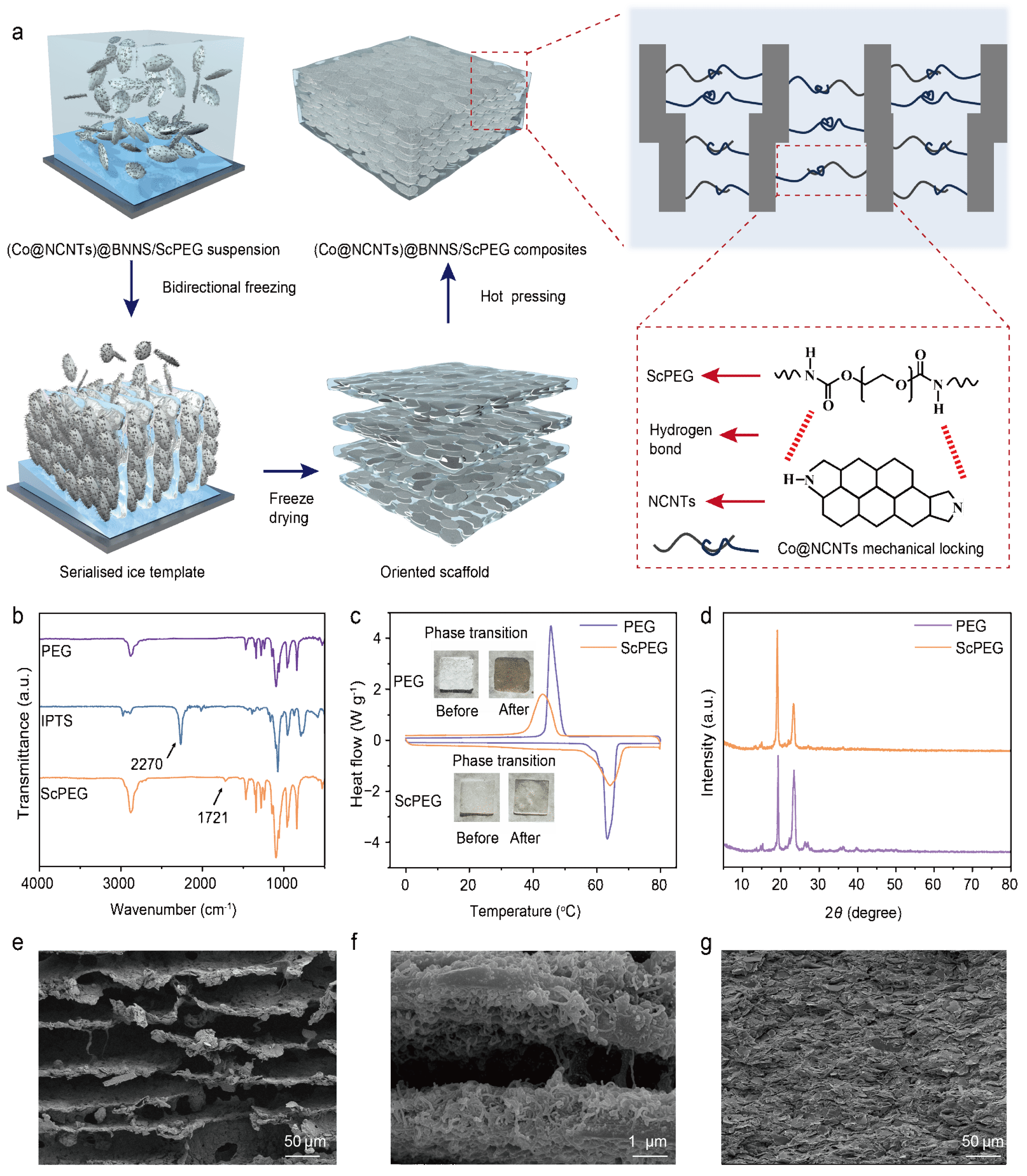 西北工业大学《国家科学评论》发表化学与化工学院顾军渭教授导热/吸波一体化复合材料最新研究成果